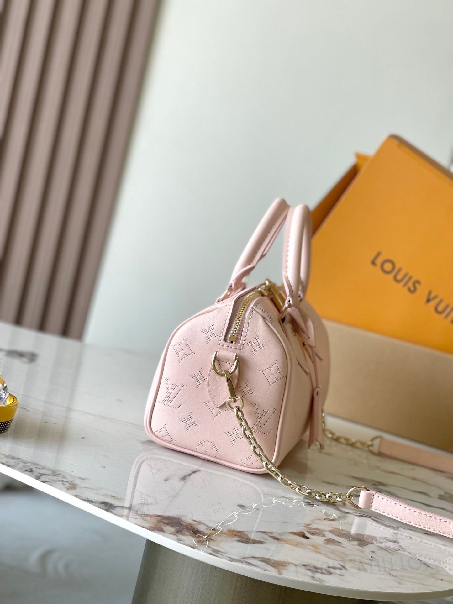 Louis Vuitton Handbag