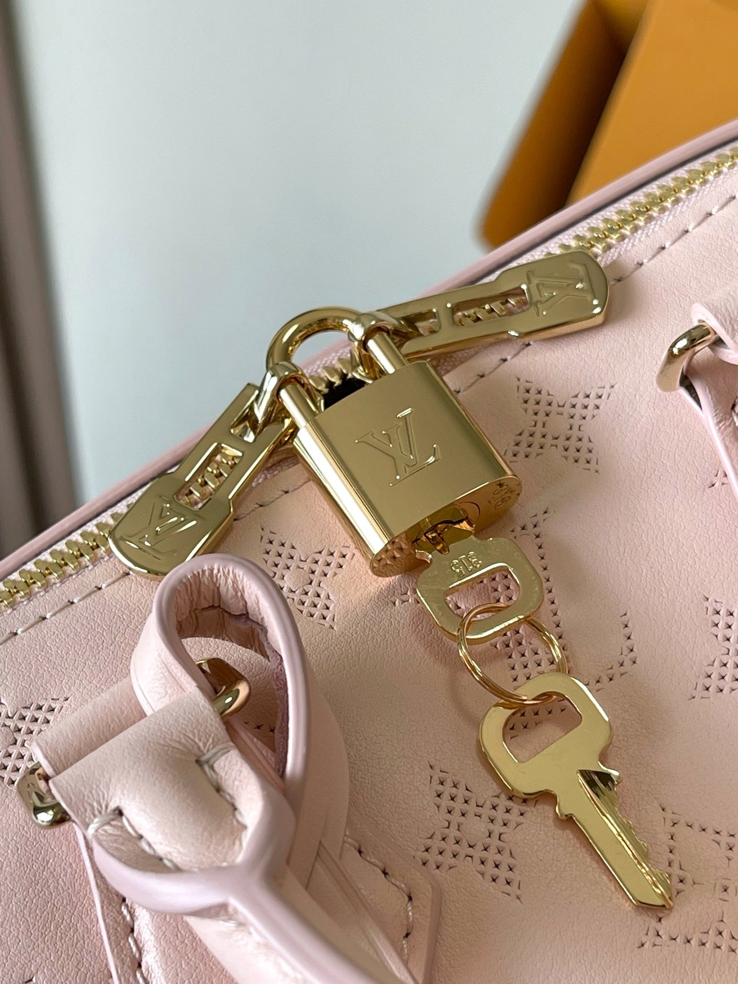 Louis Vuitton Handbag