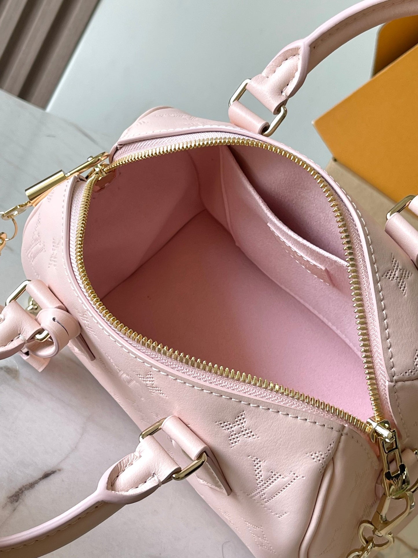 Louis Vuitton Handbag