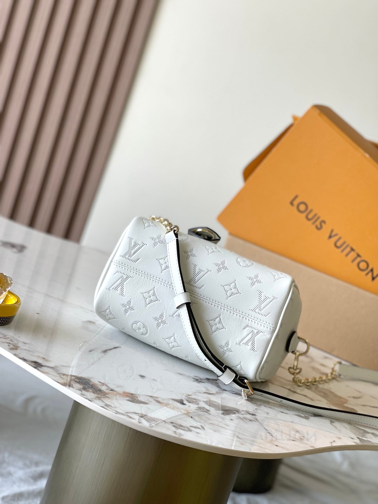 Louis Vuitton Handbag