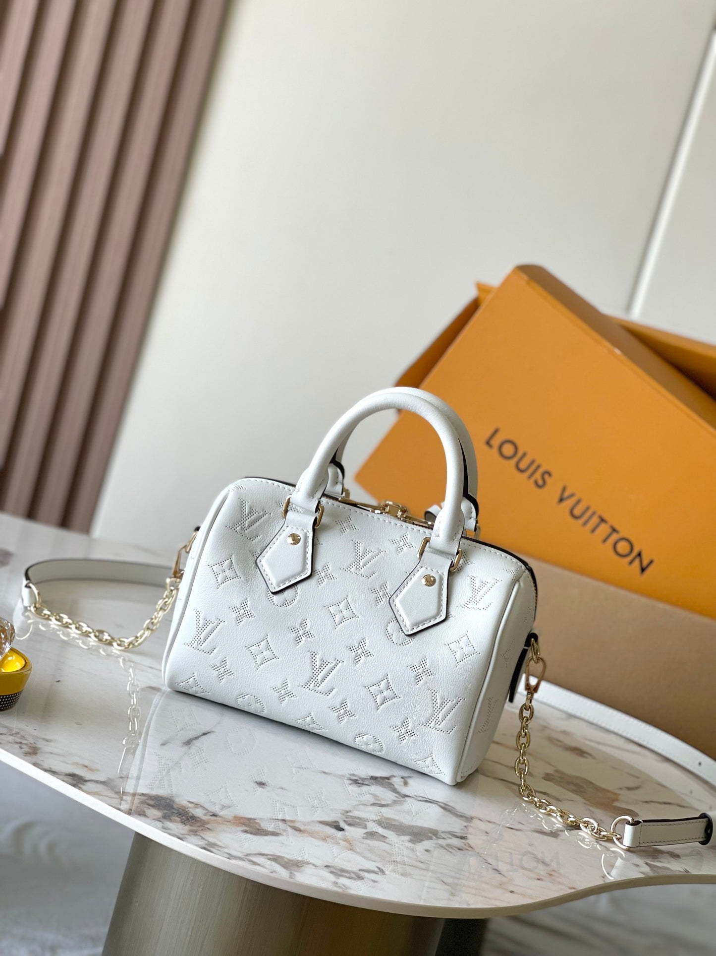Louis Vuitton Handbag