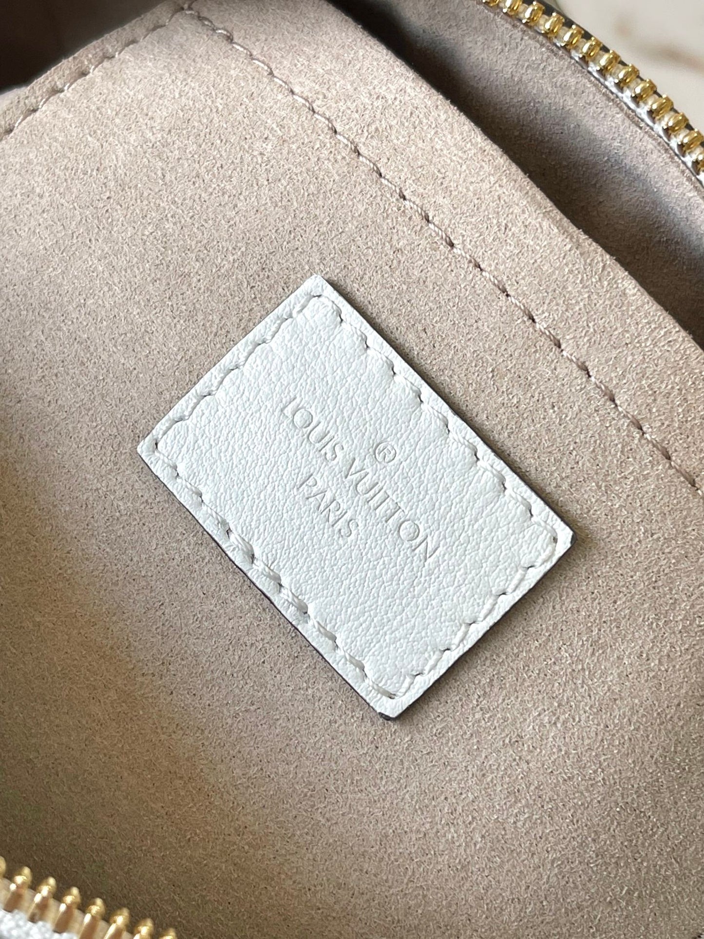 Louis Vuitton Handbag