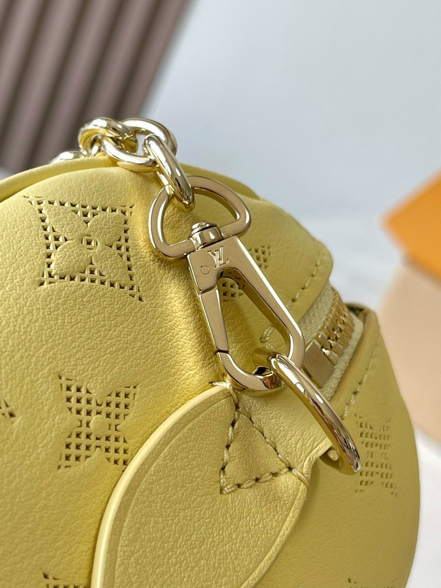 Louis Vuitton Handbag