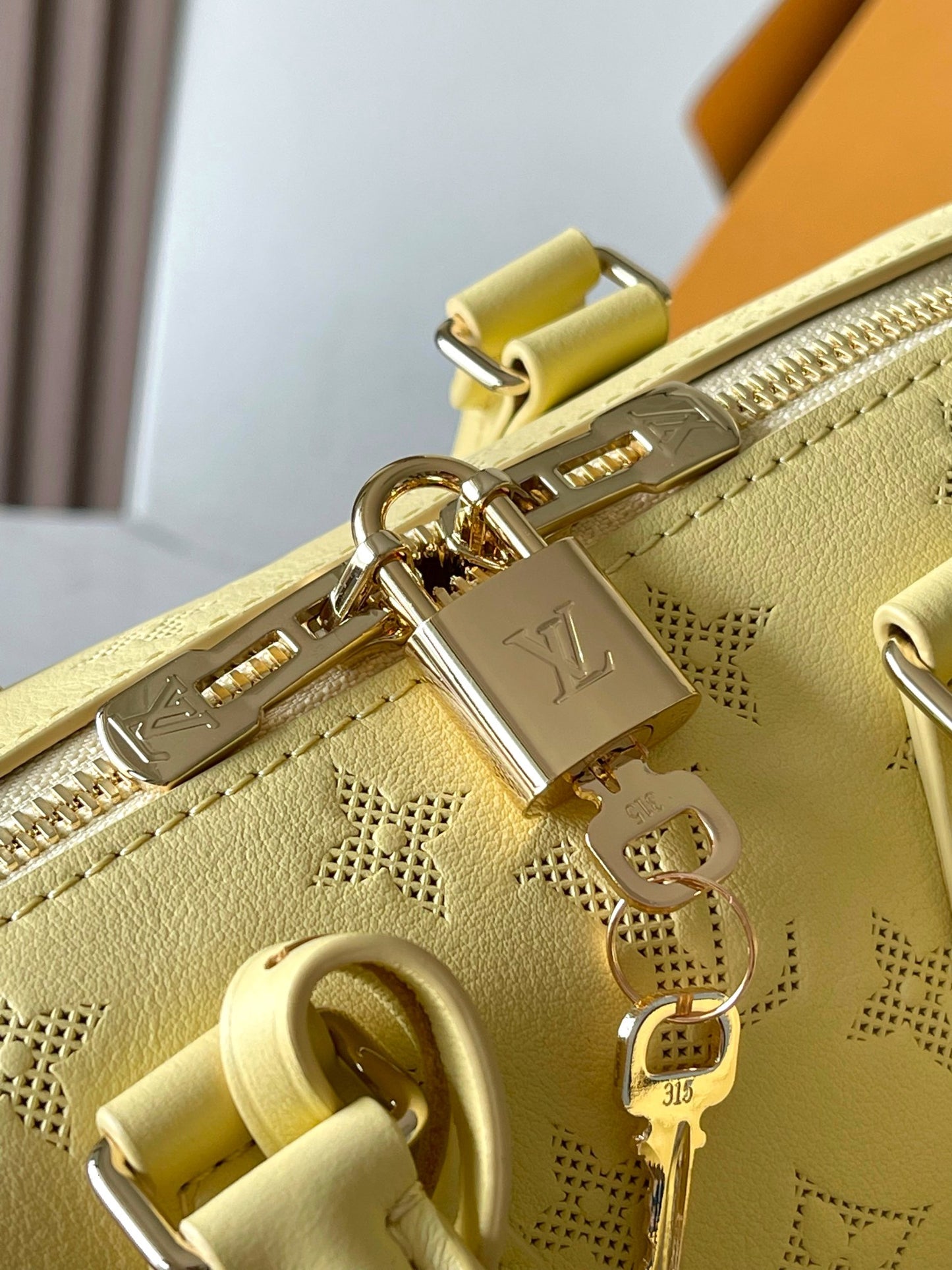 Louis Vuitton Handbag