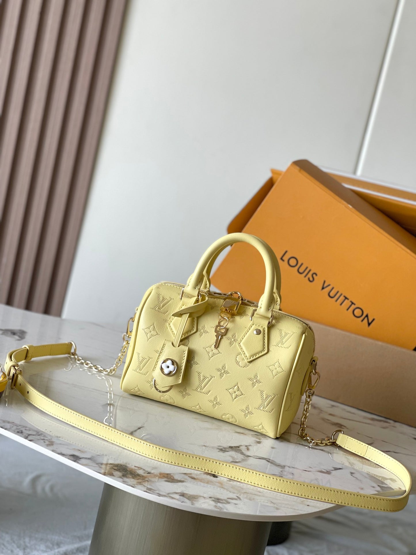 Louis Vuitton Handbag