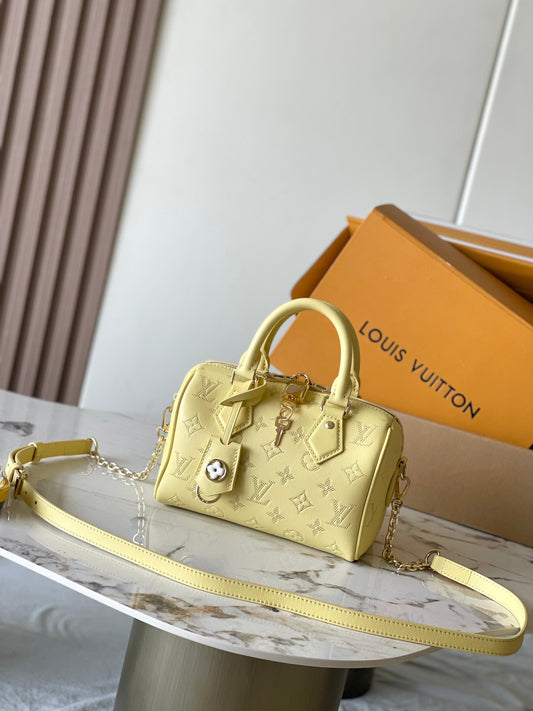 Louis Vuitton Handbag