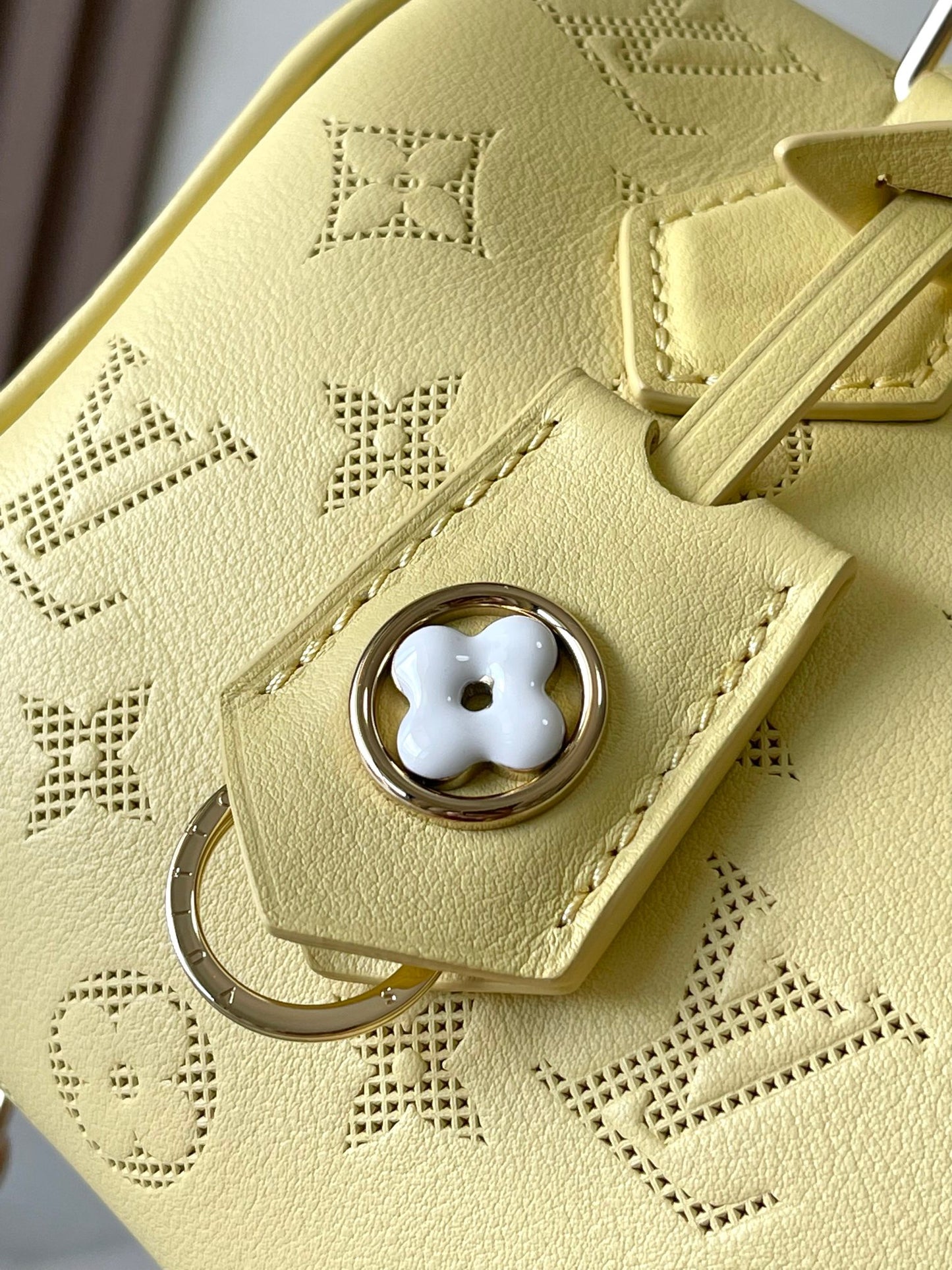 Louis Vuitton Handbag