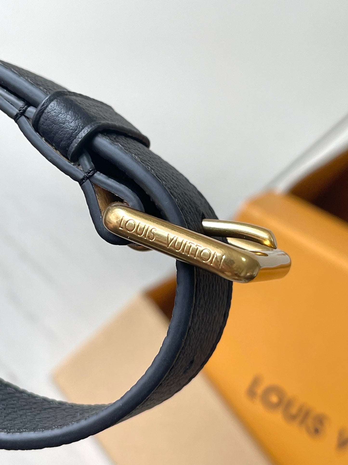 Louis Vuitton Handbag