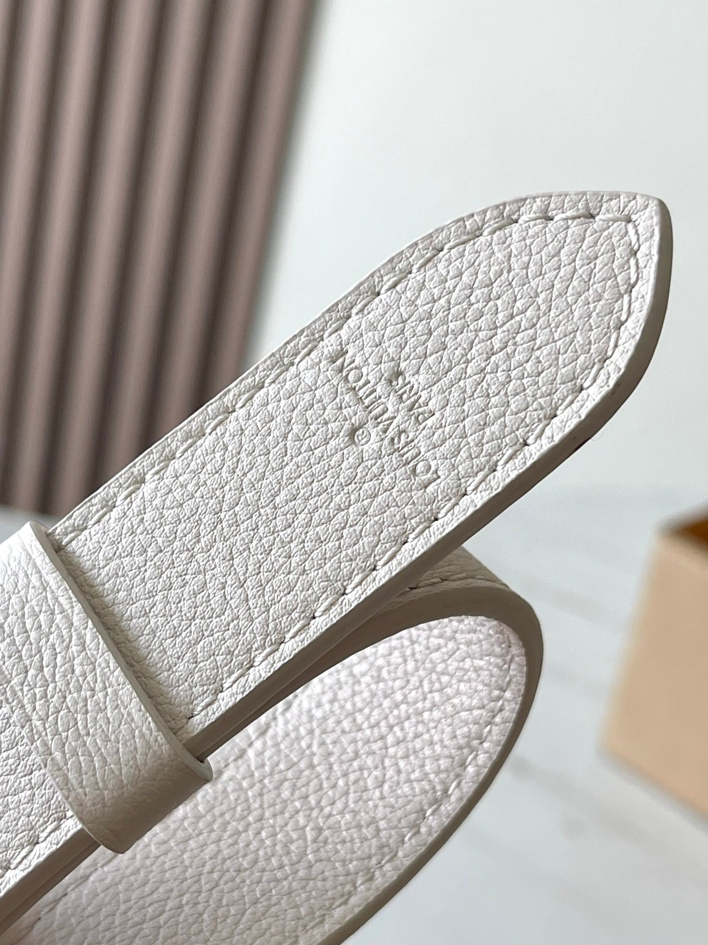 Louis Vuitton Handbag