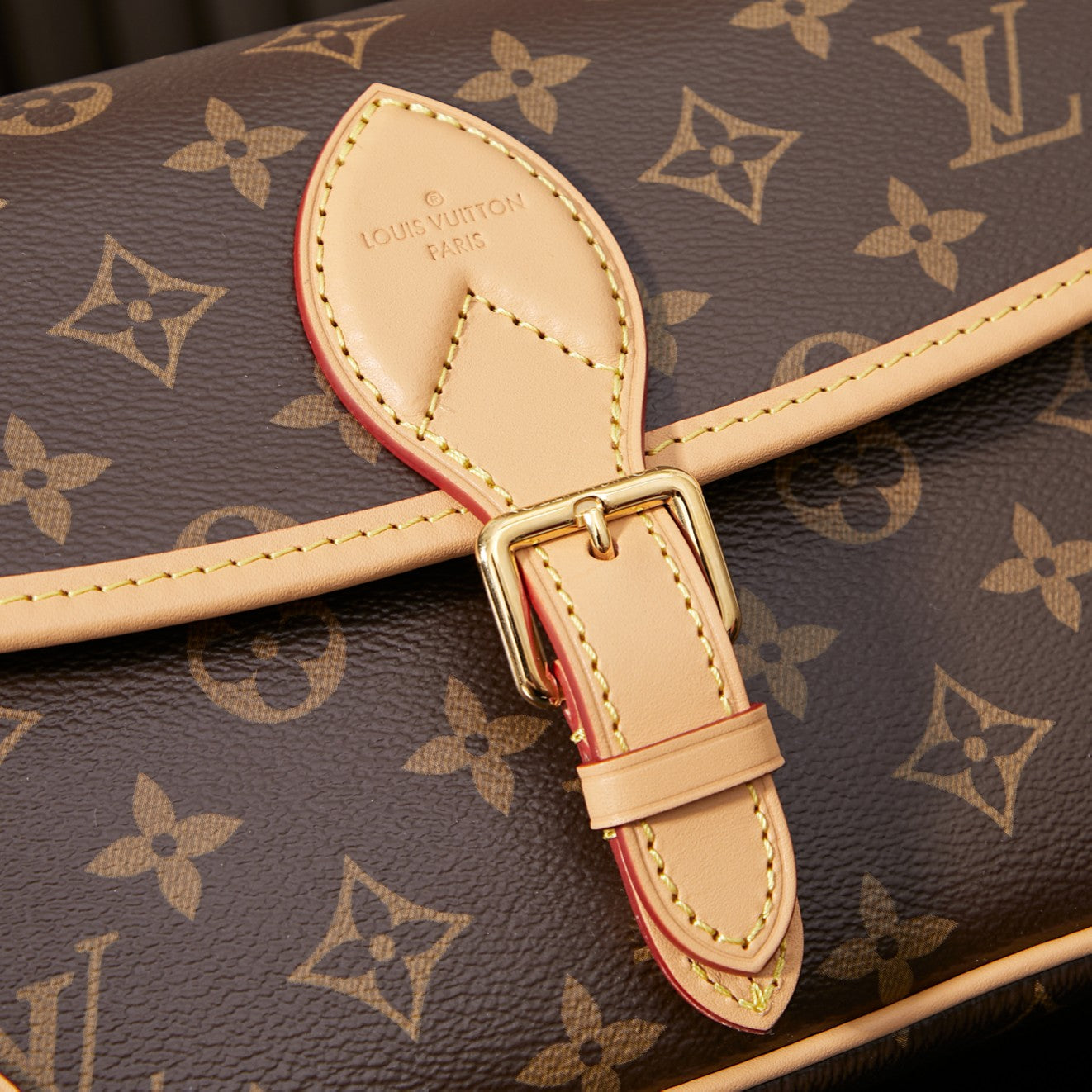 Louis Vuitton Handbag