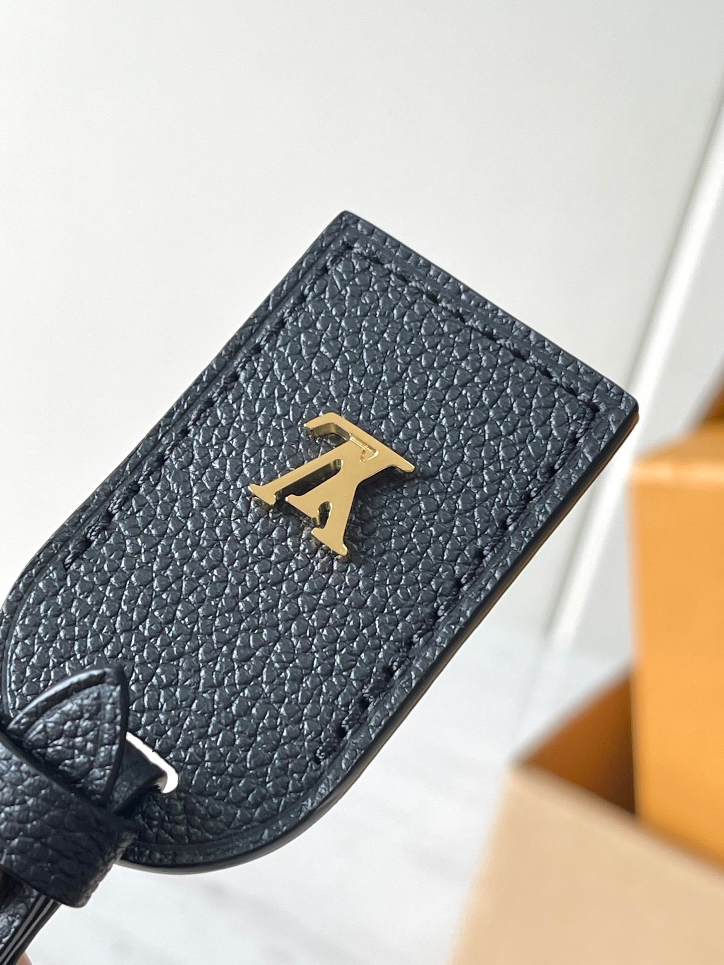 Louis Vuitton Handbag