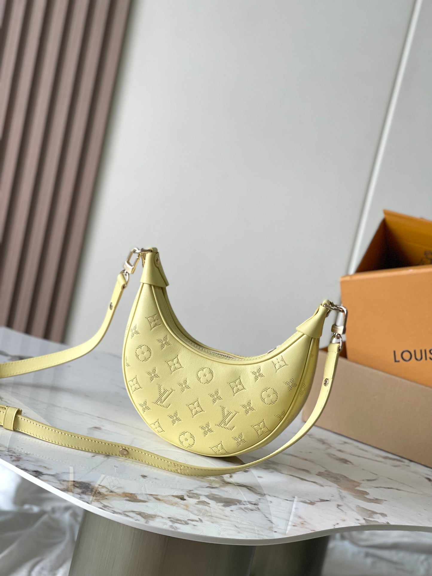 Louis Vuitton Handbag