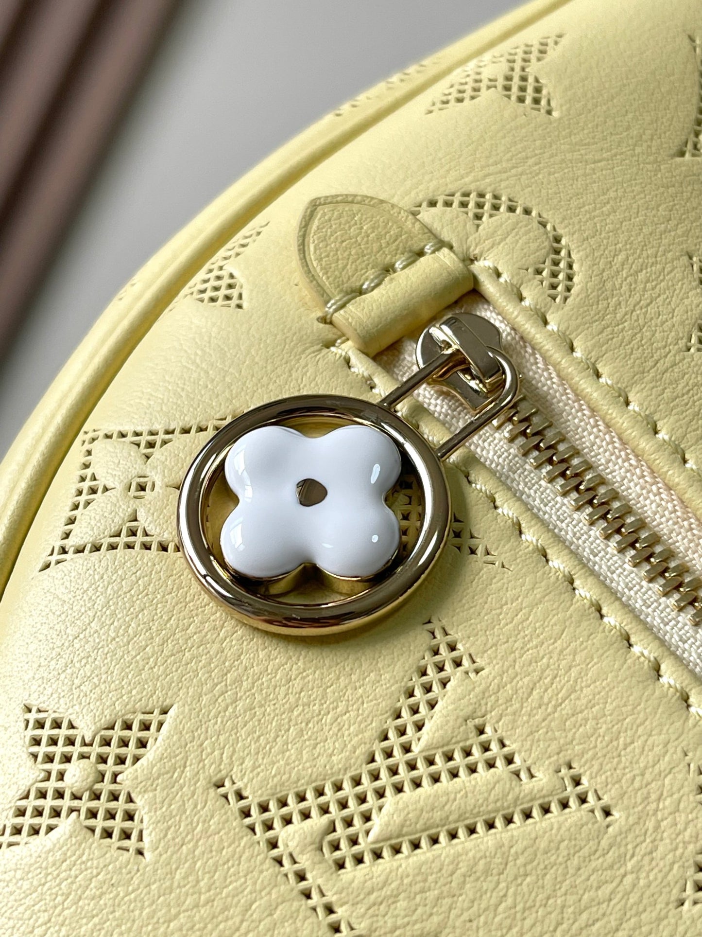 Louis Vuitton Handbag