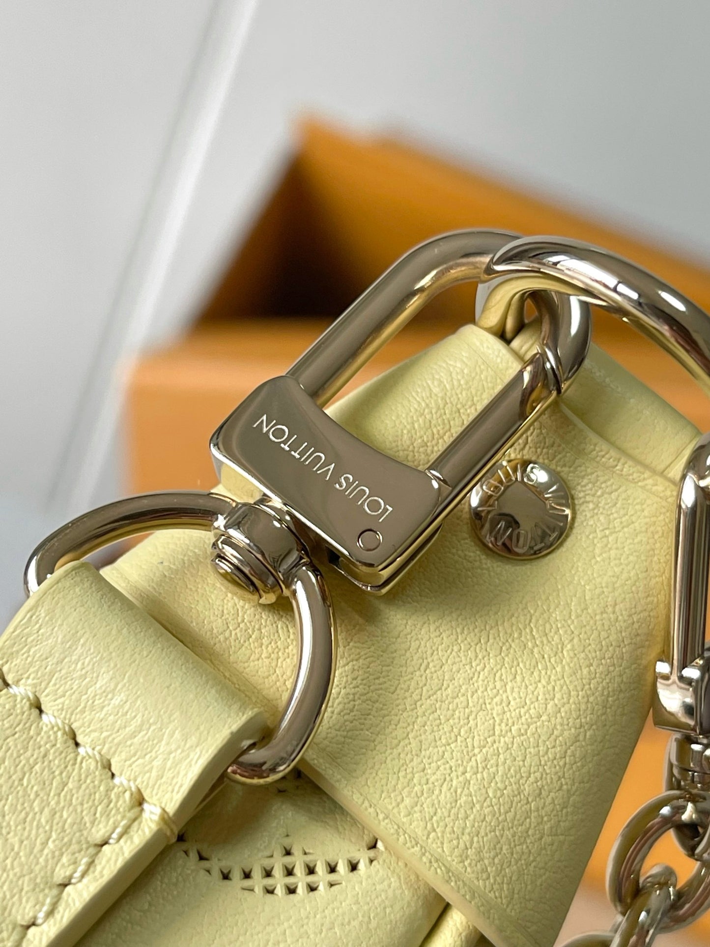 Louis Vuitton Handbag