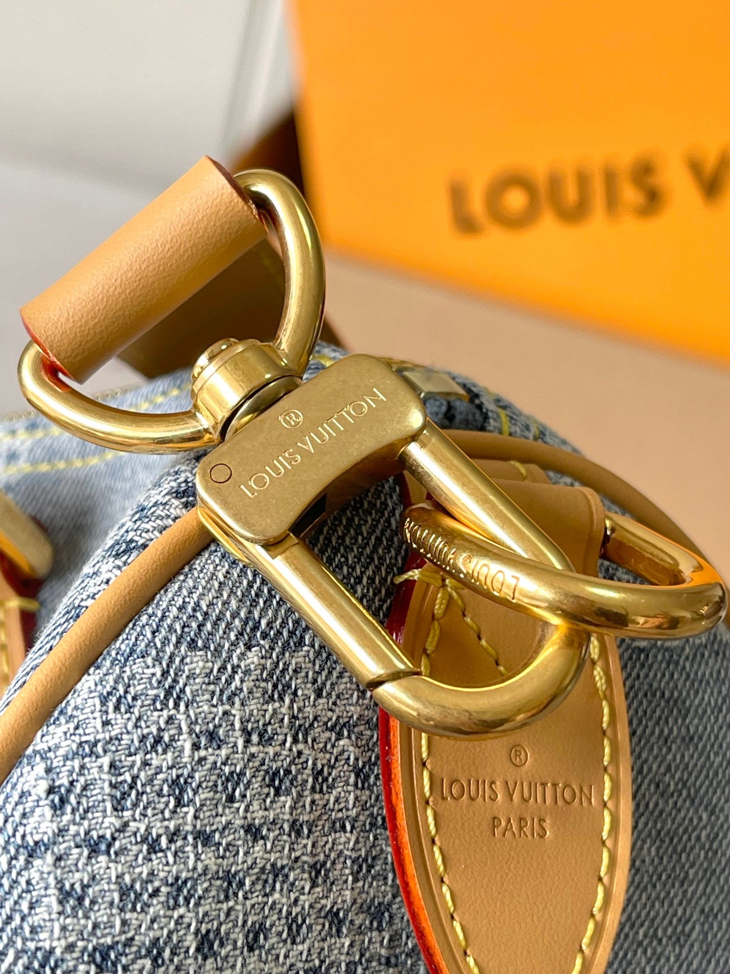 Louis Vuitton Handbag