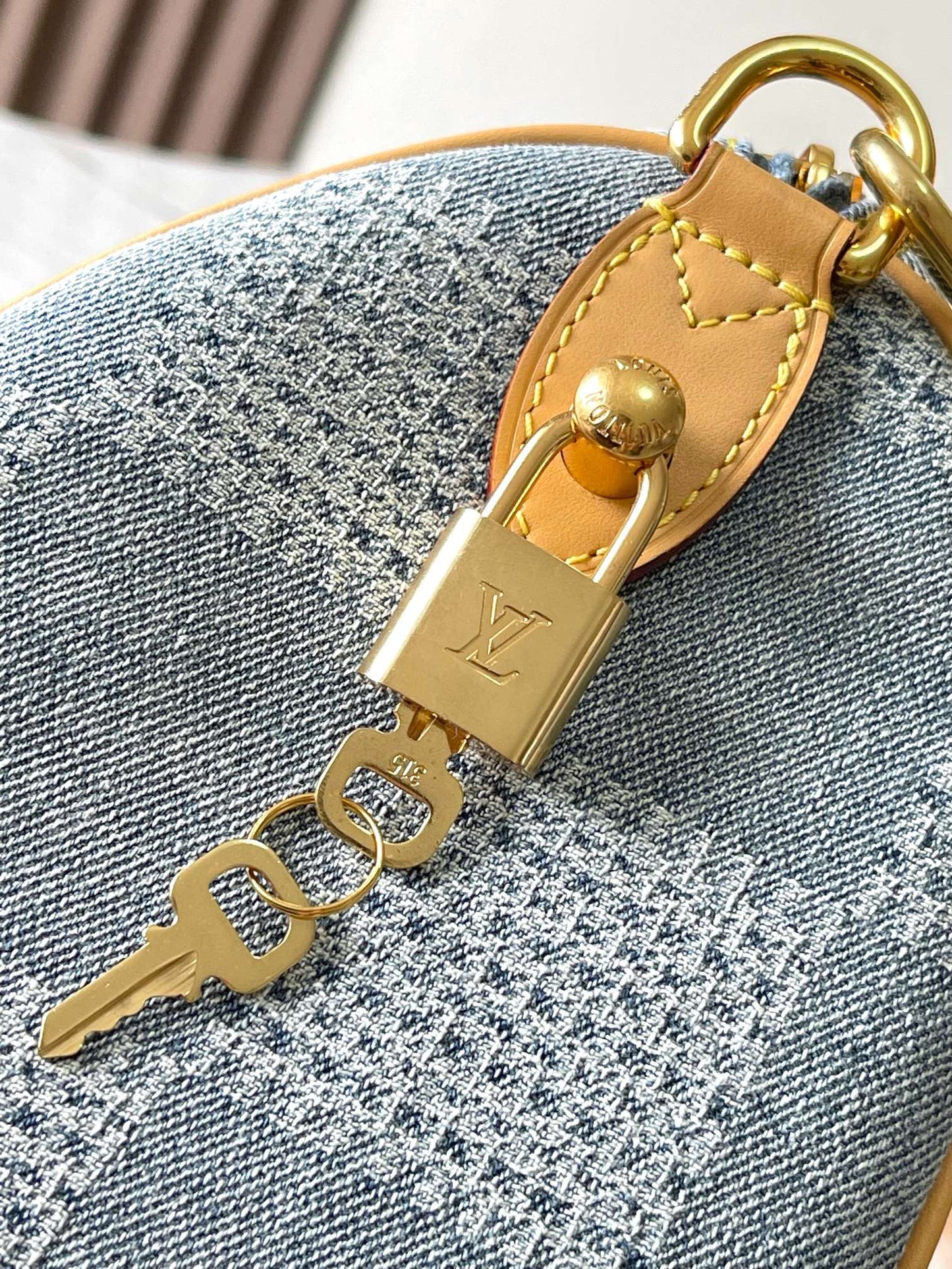 Louis Vuitton Handbag