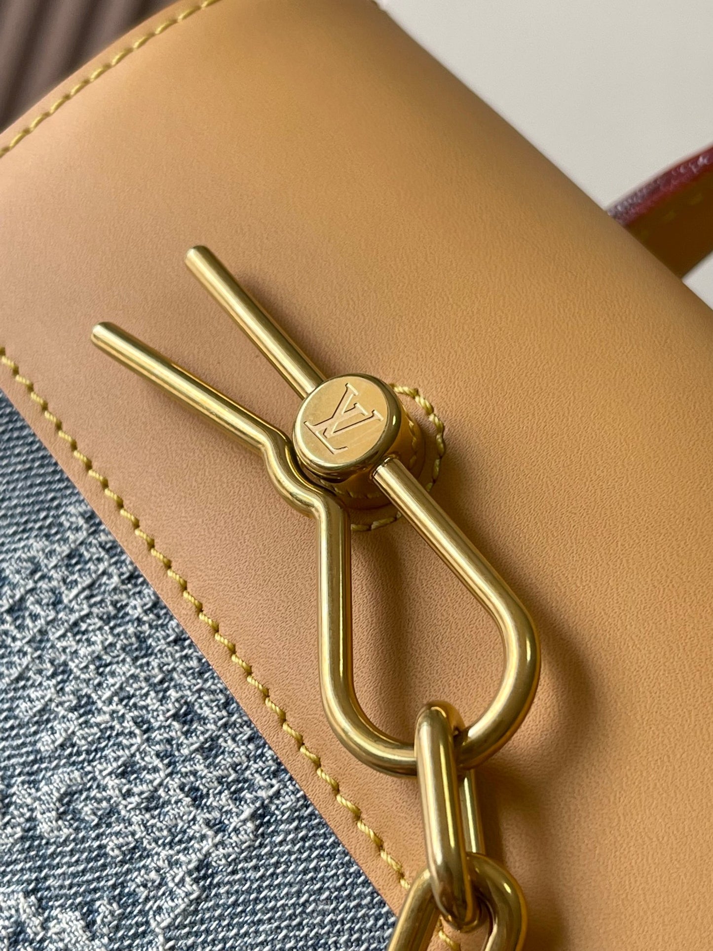 Louis Vuitton Handbag