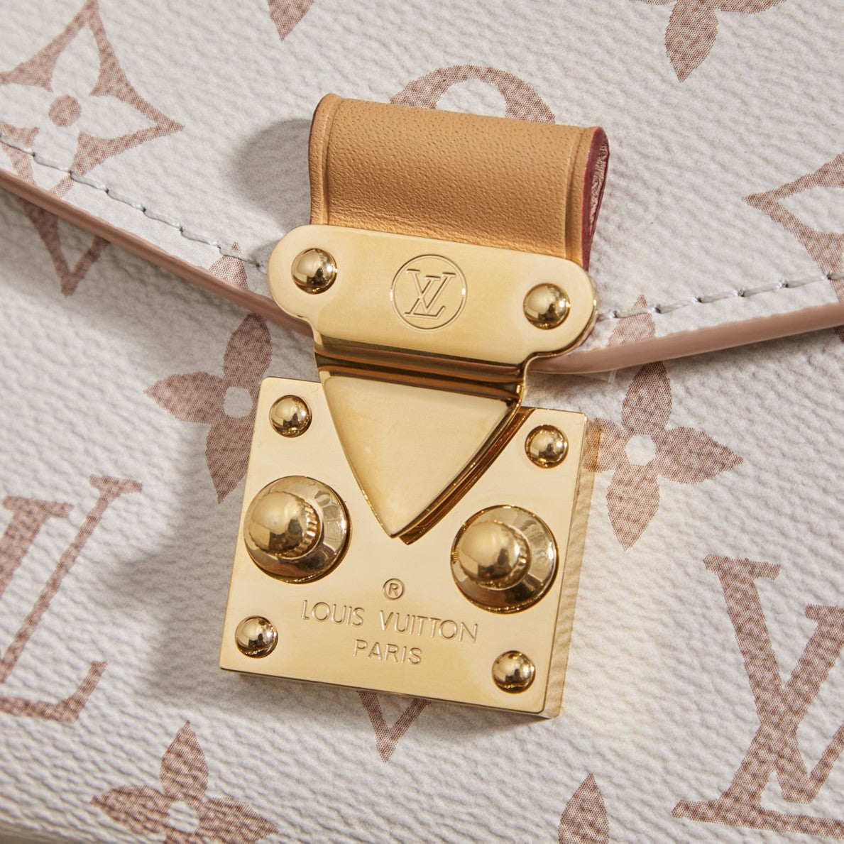 Louis Vuitton Handbag