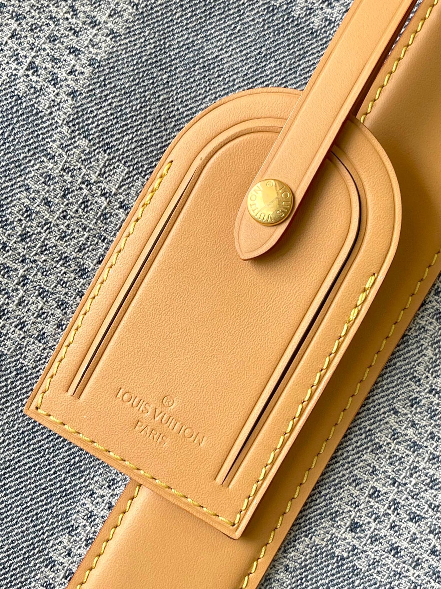 Louis Vuitton Handbag