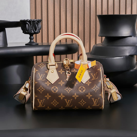 Louis Vuitton Handbag