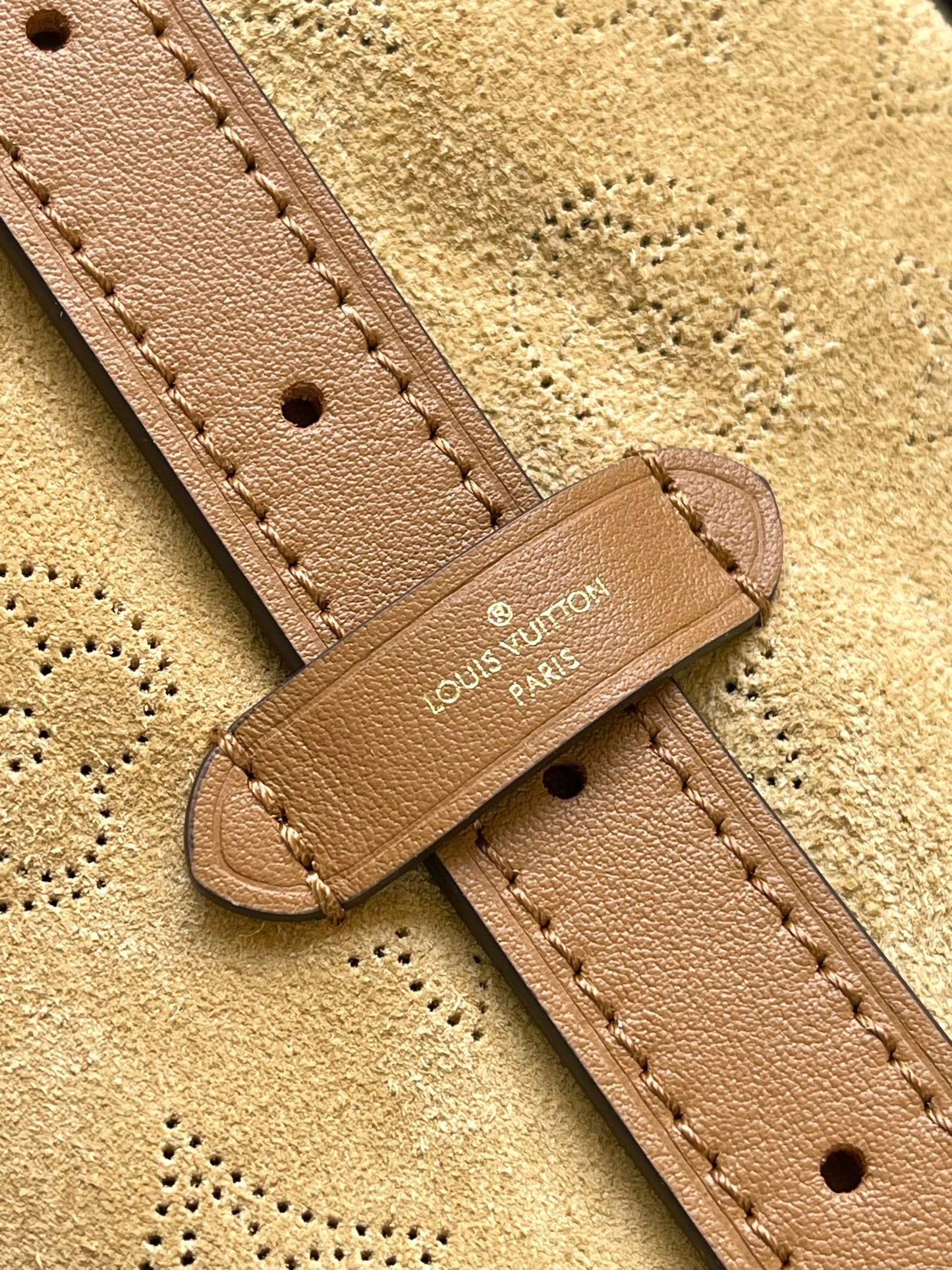 Louis Vuitton Handbag