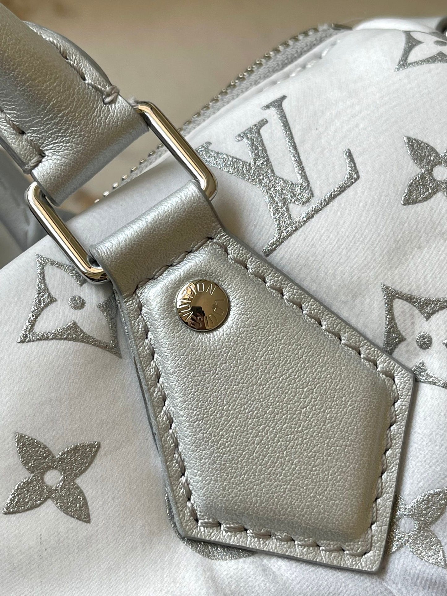 Louis Vuitton Handbag