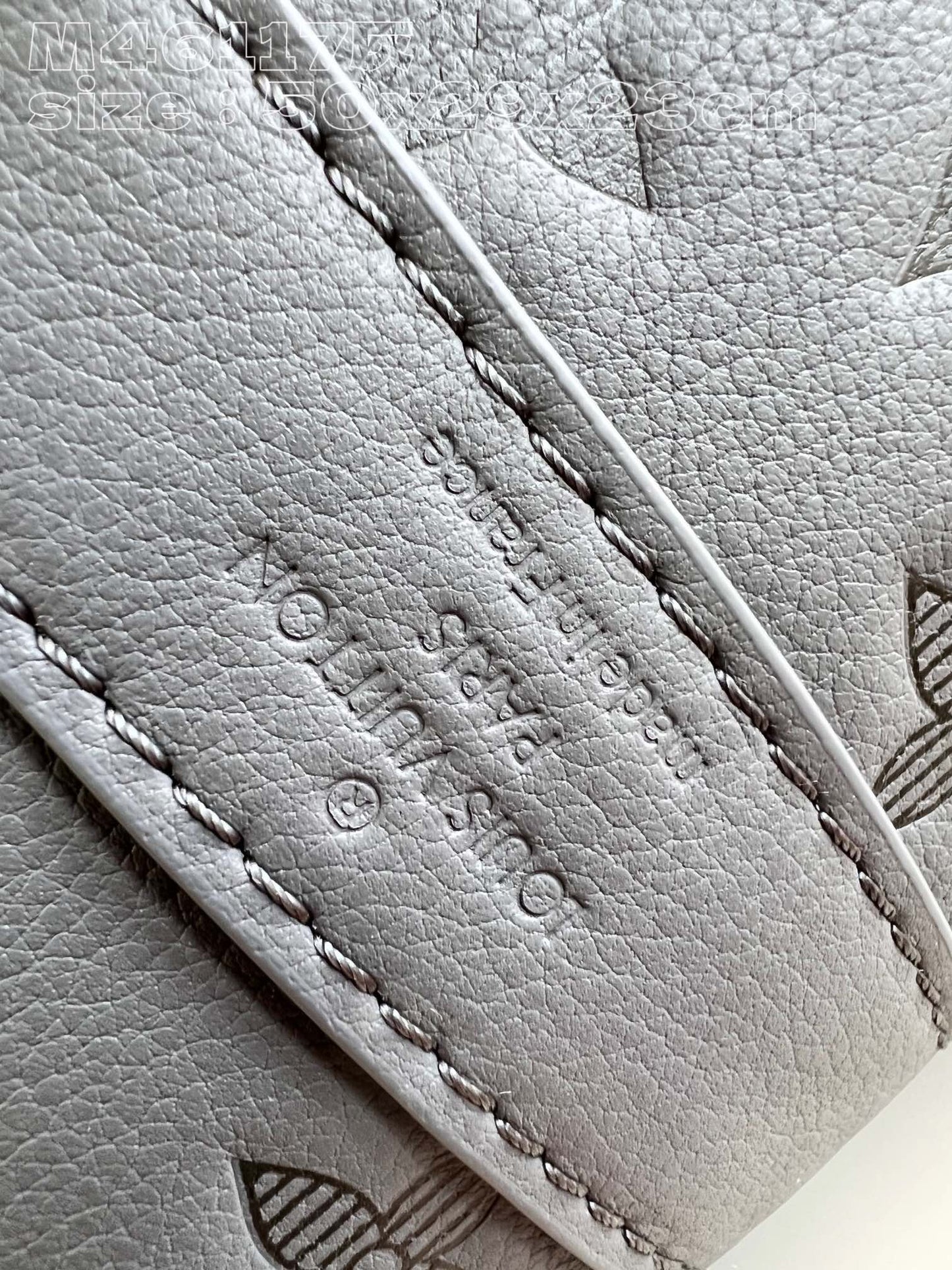 Louis Vuitton Bag