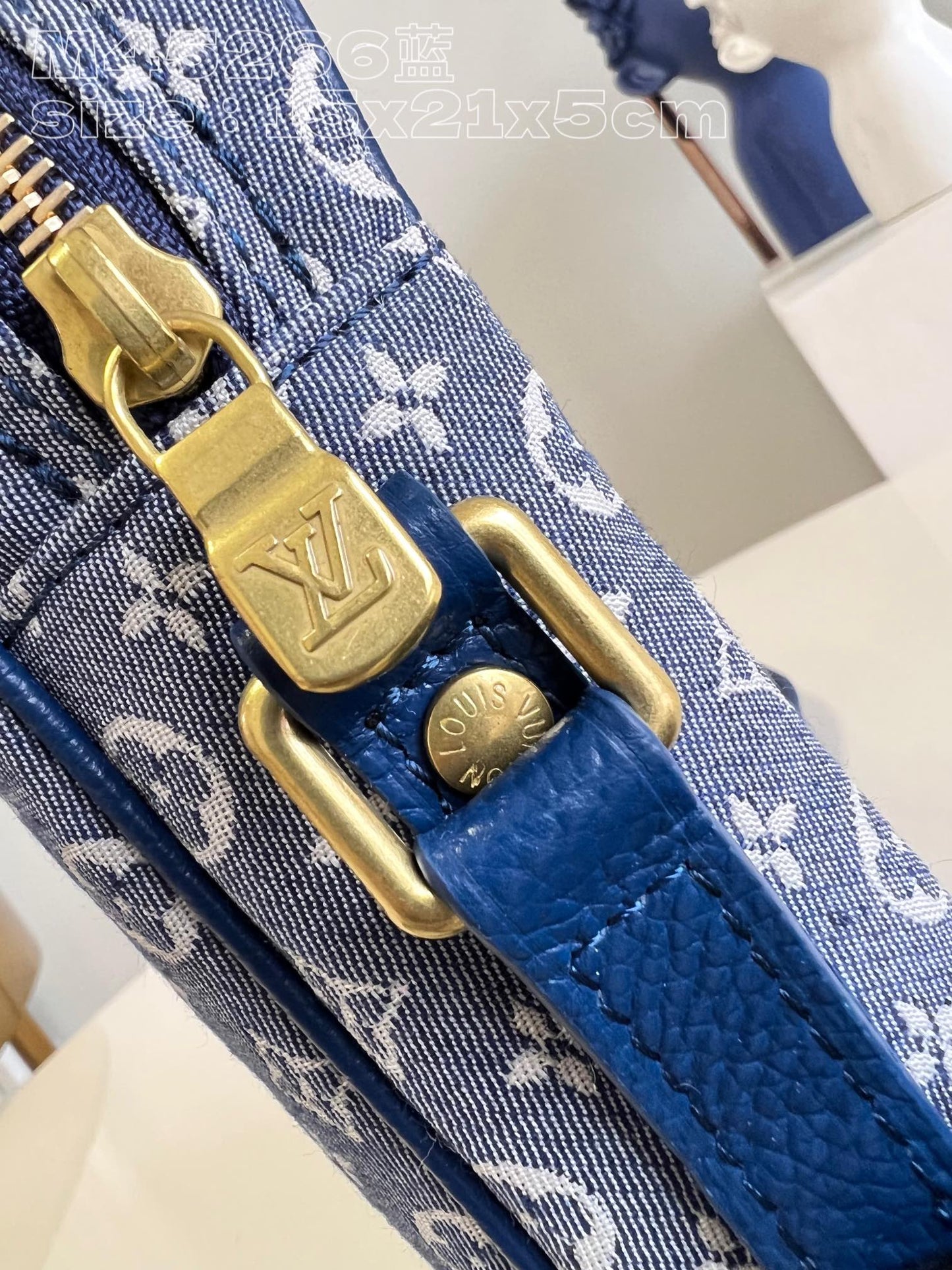 Louis Vuitton Bag