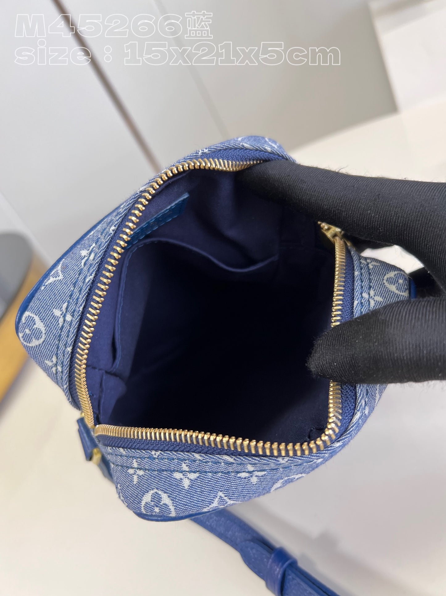 Louis Vuitton Bag