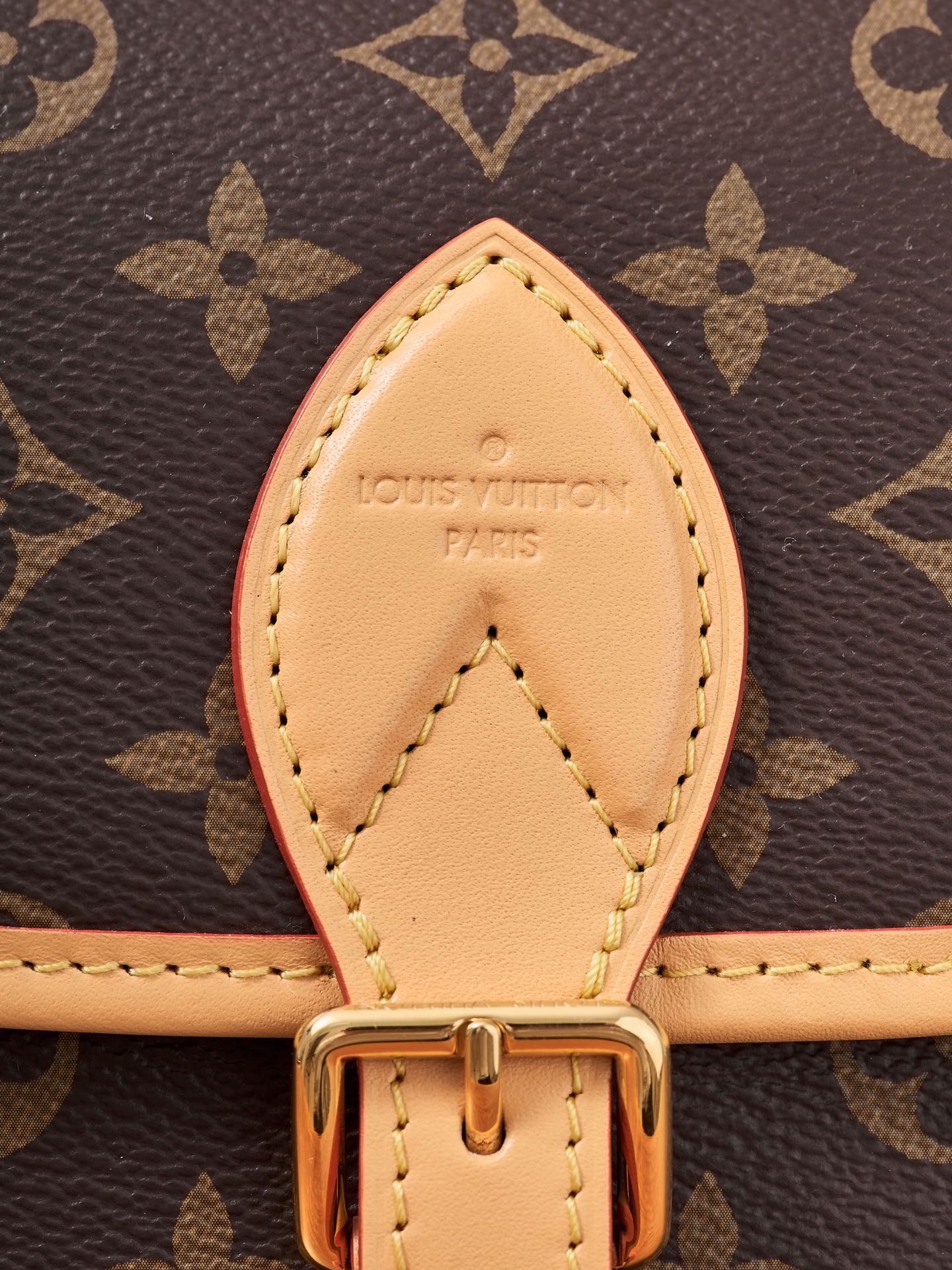 Louis Vuitton Handbag