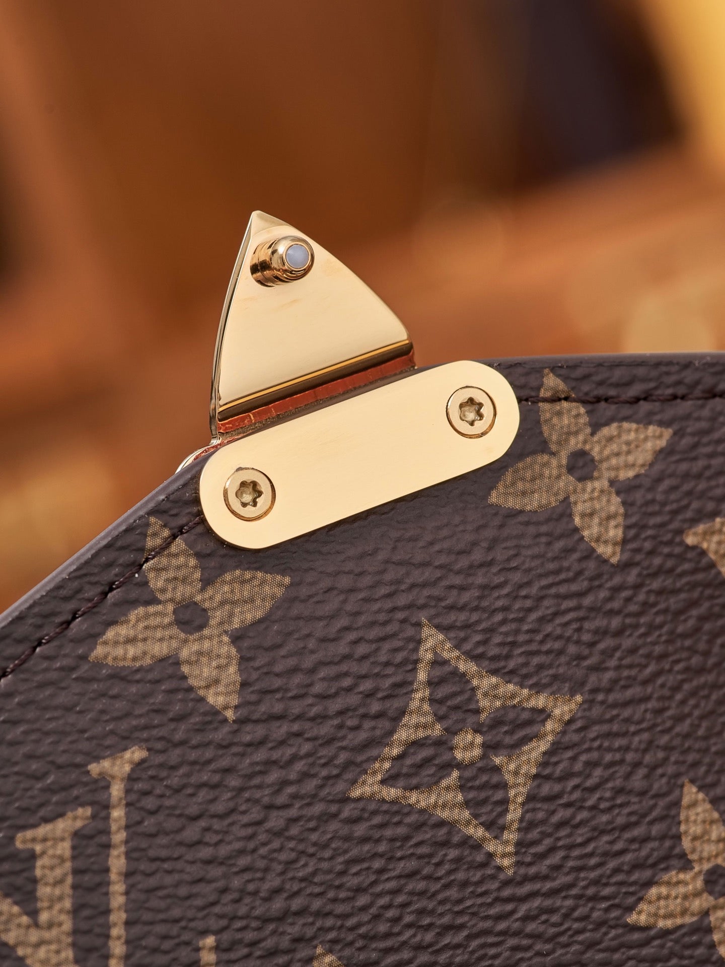 Louis Vuitton Handbag