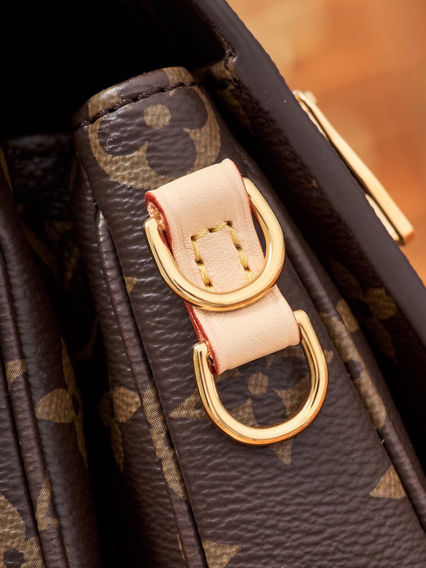 Louis Vuitton Handbag