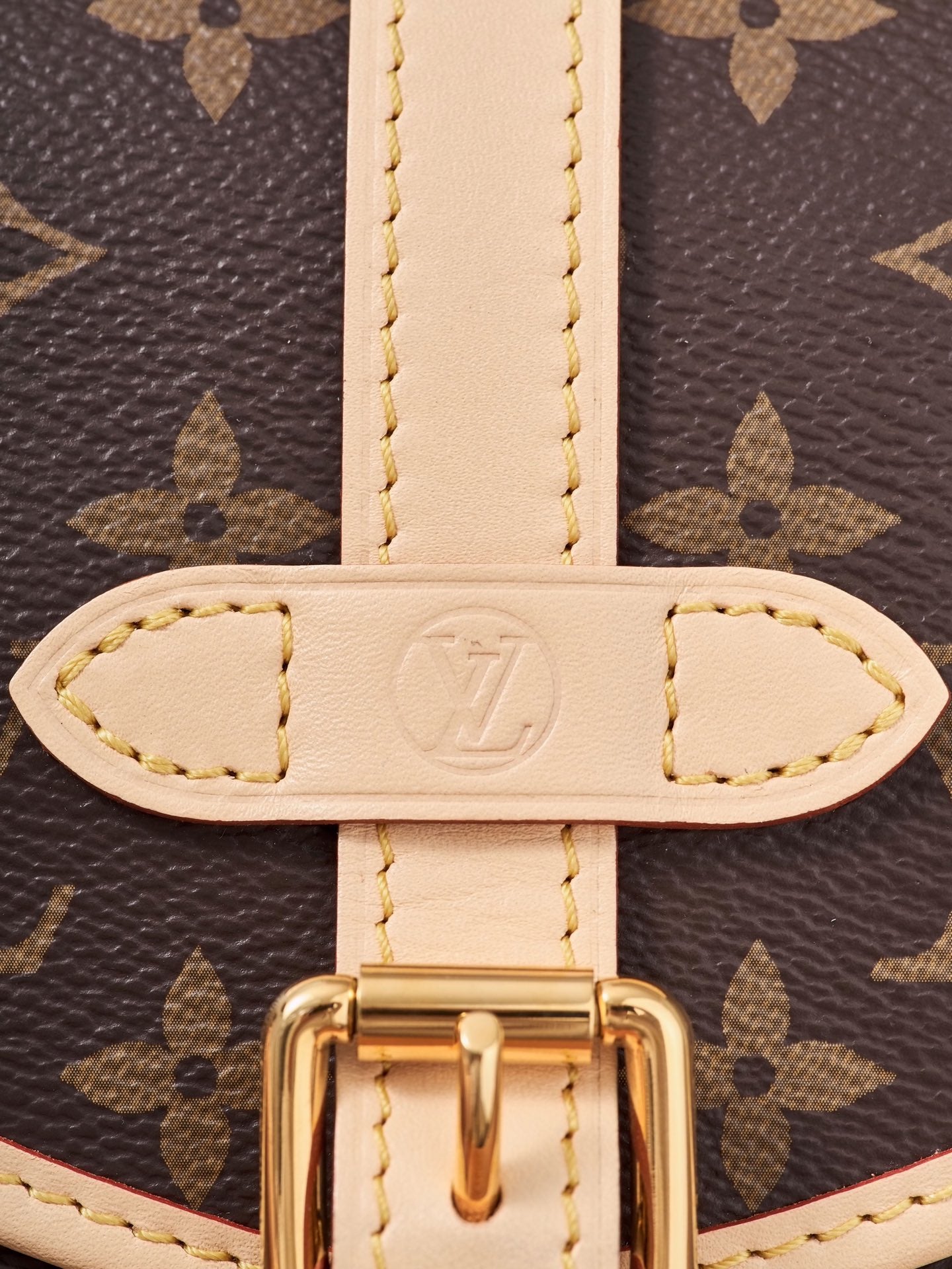 Louis Vuitton Handbag