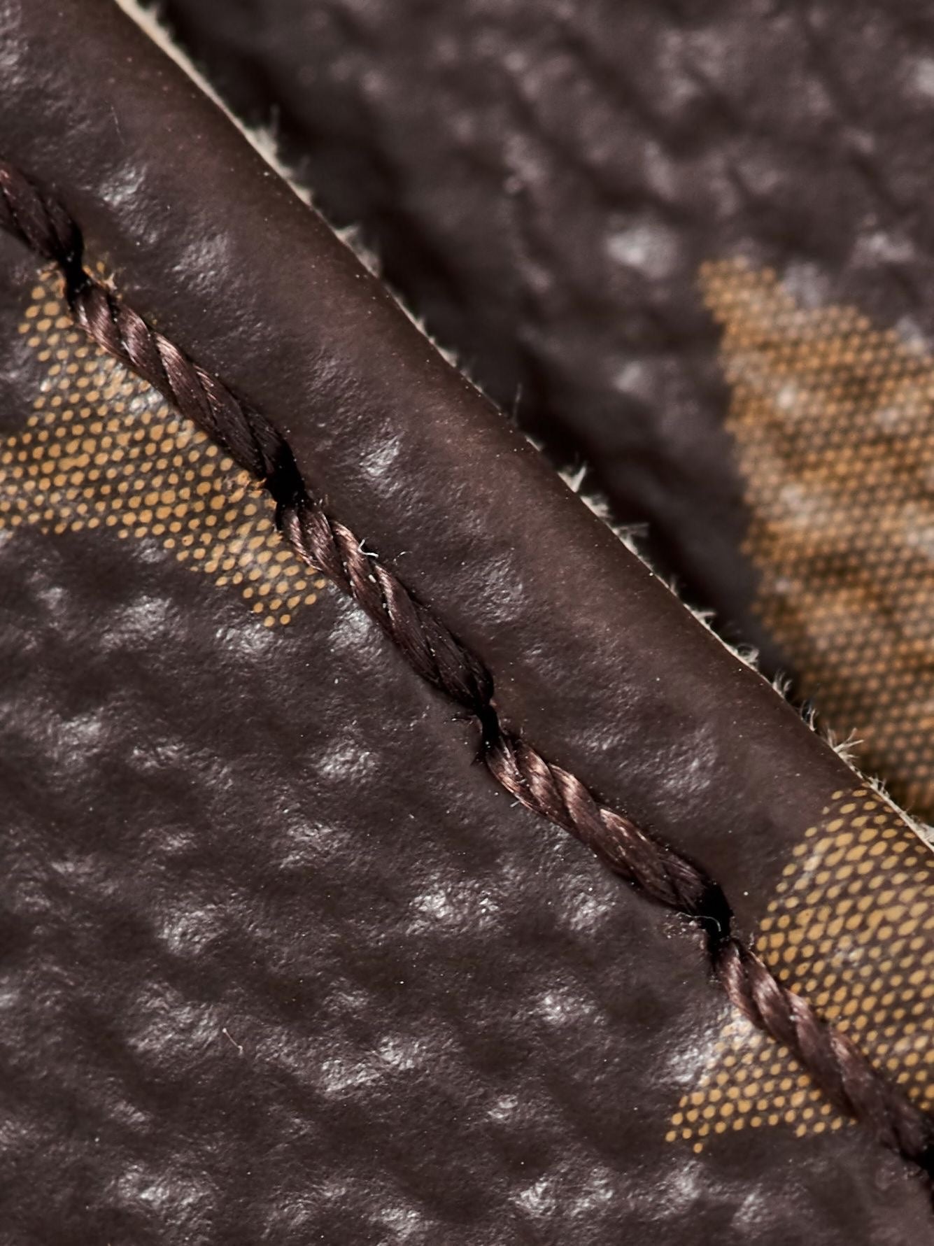 Louis Vuitton Handbag