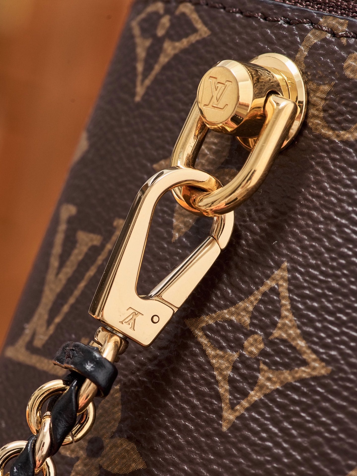 Louis Vuitton Handbag