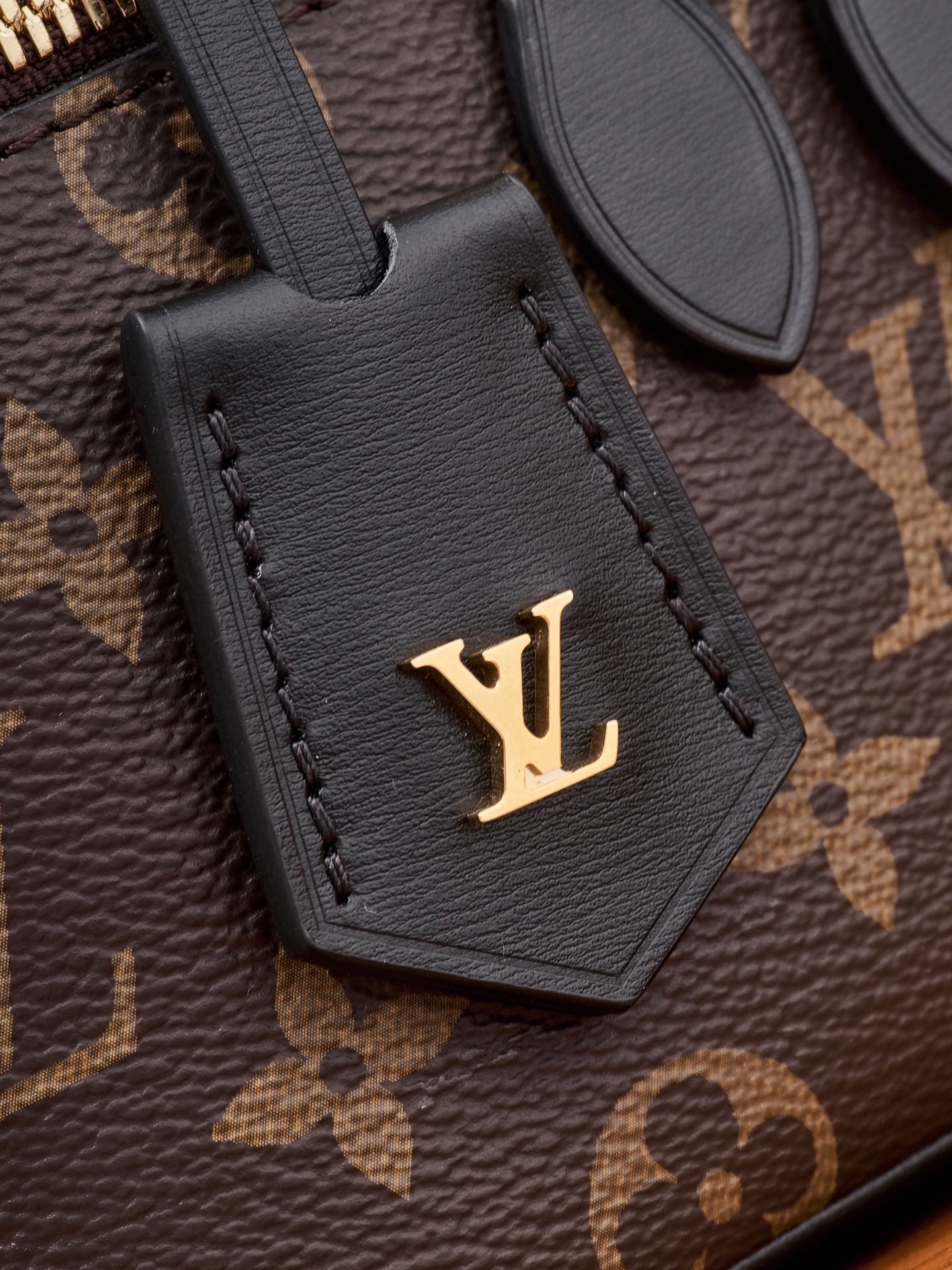 Louis Vuitton Handbag