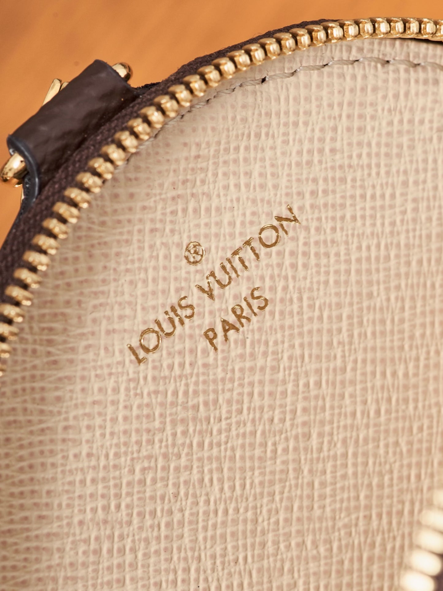 Louis Vuitton Handbag