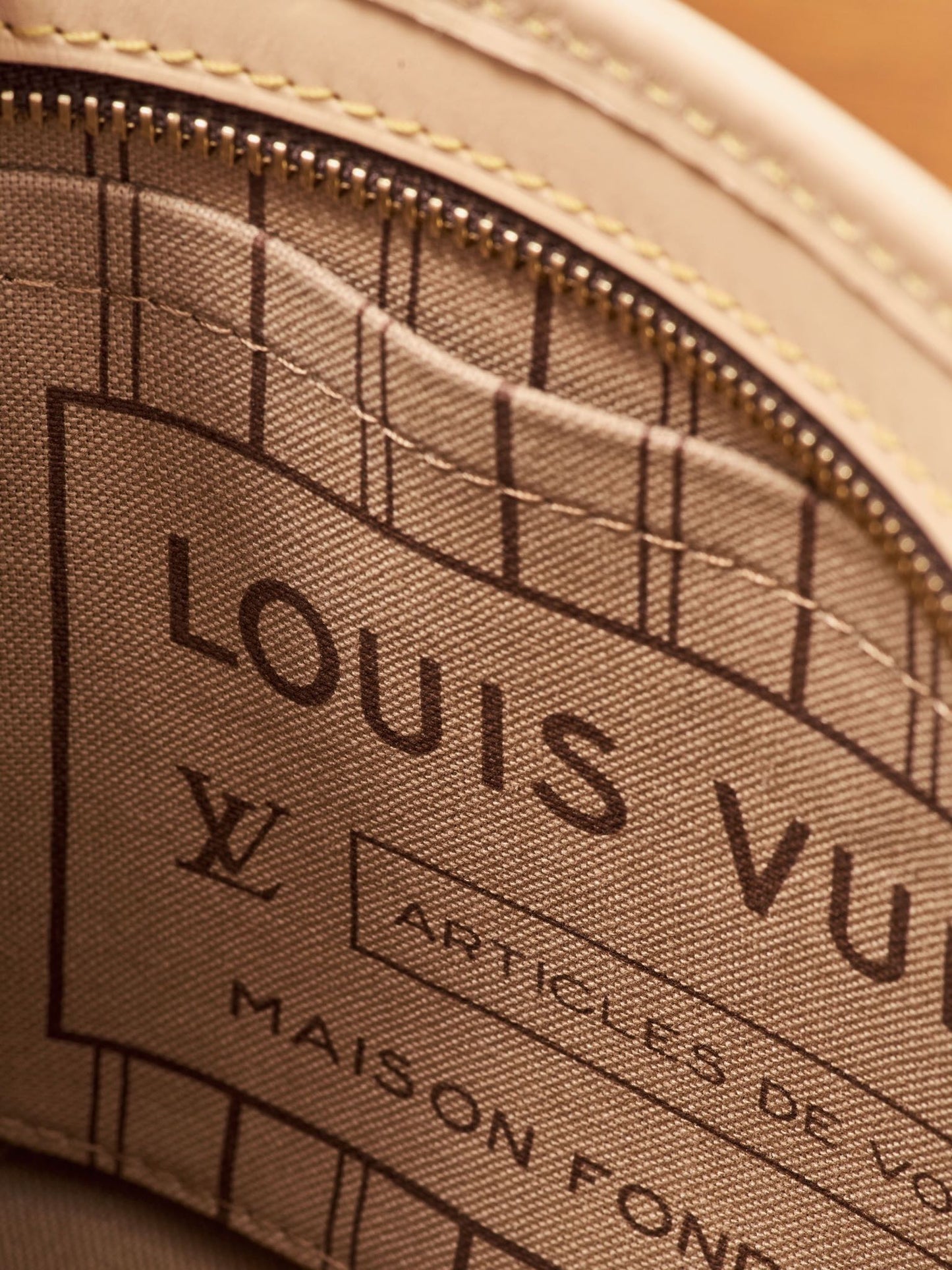 Louis Vuitton Handbag
