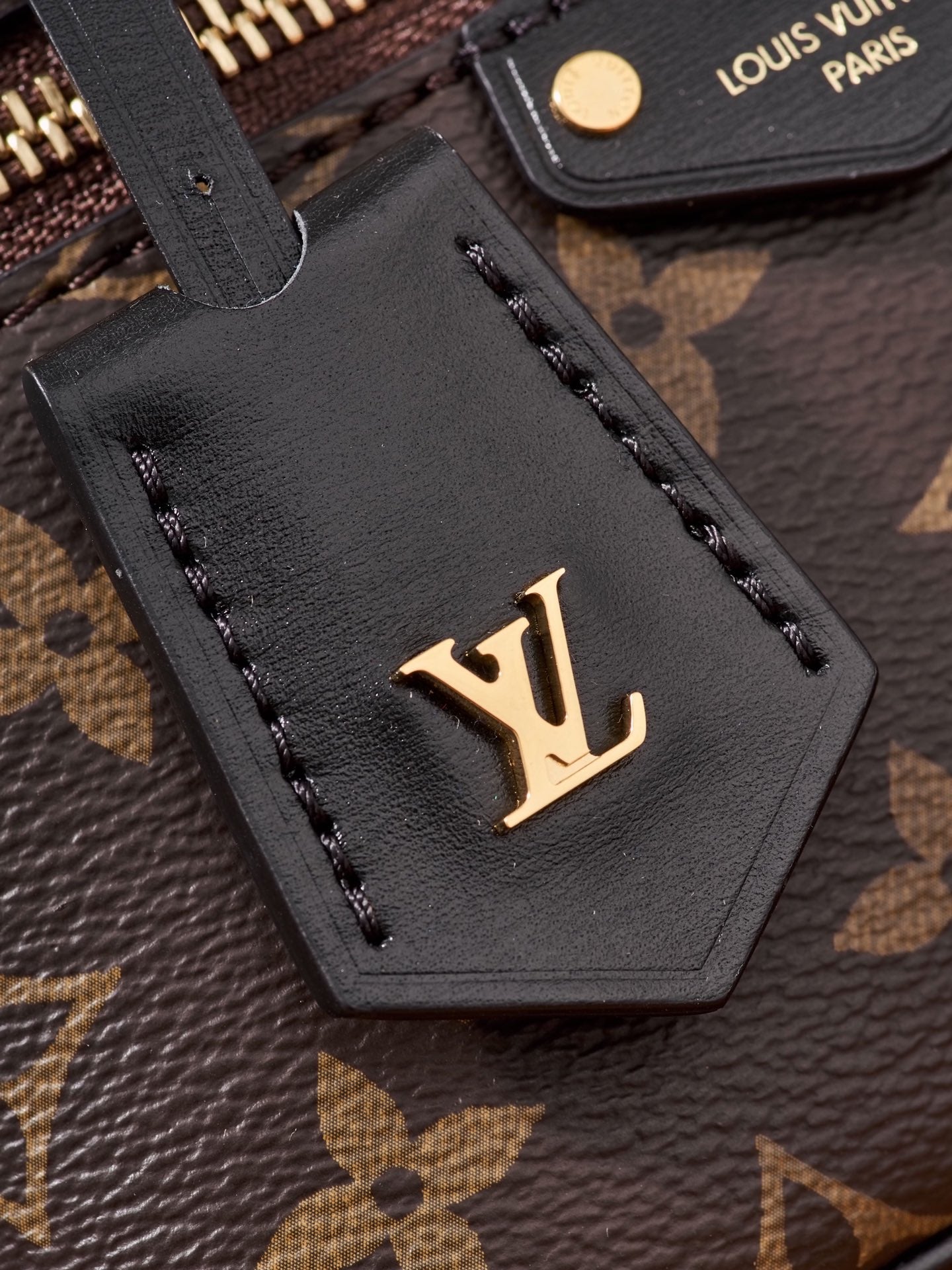Louis Vuitton Handbag
