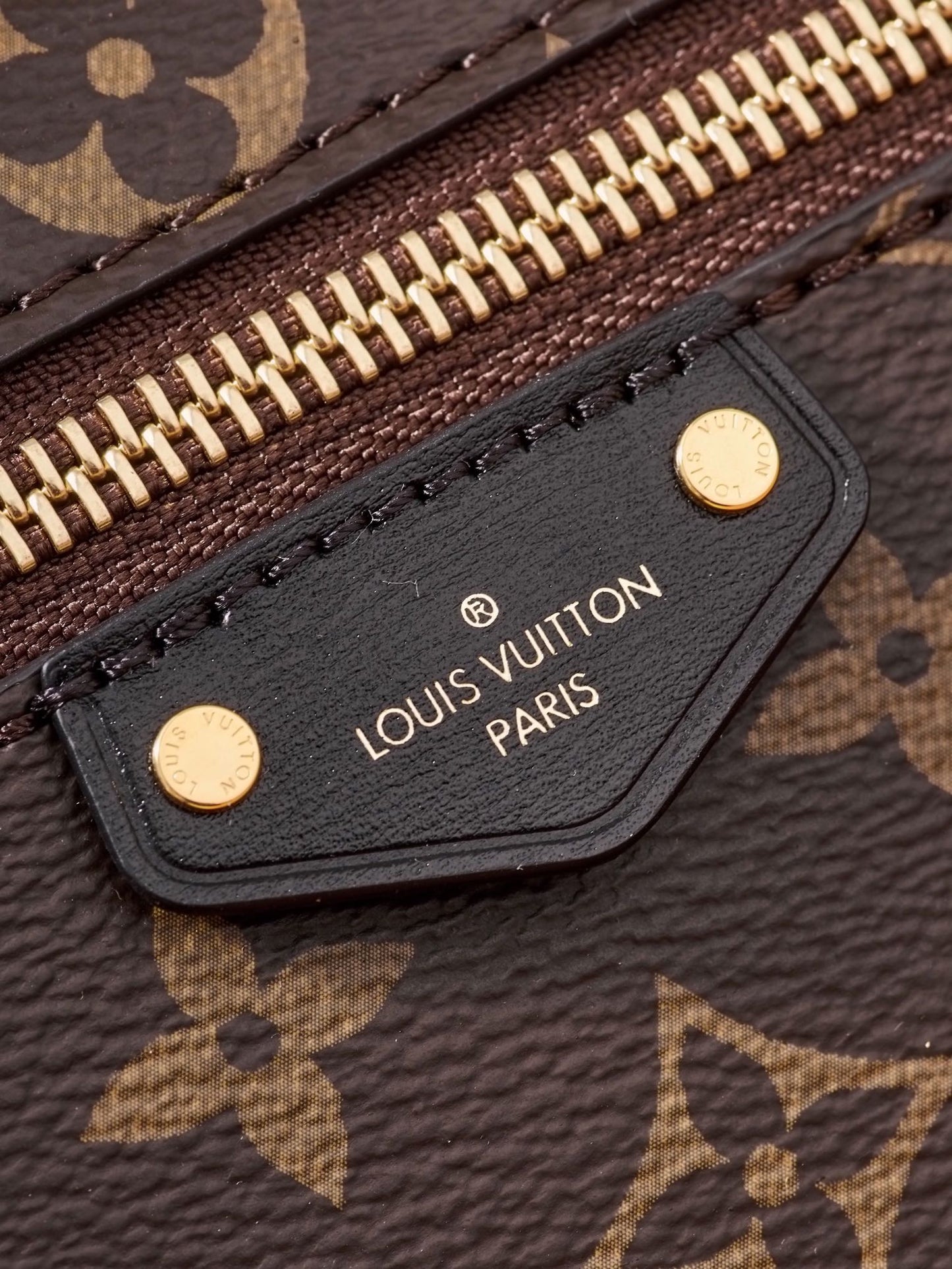 Louis Vuitton Handbag