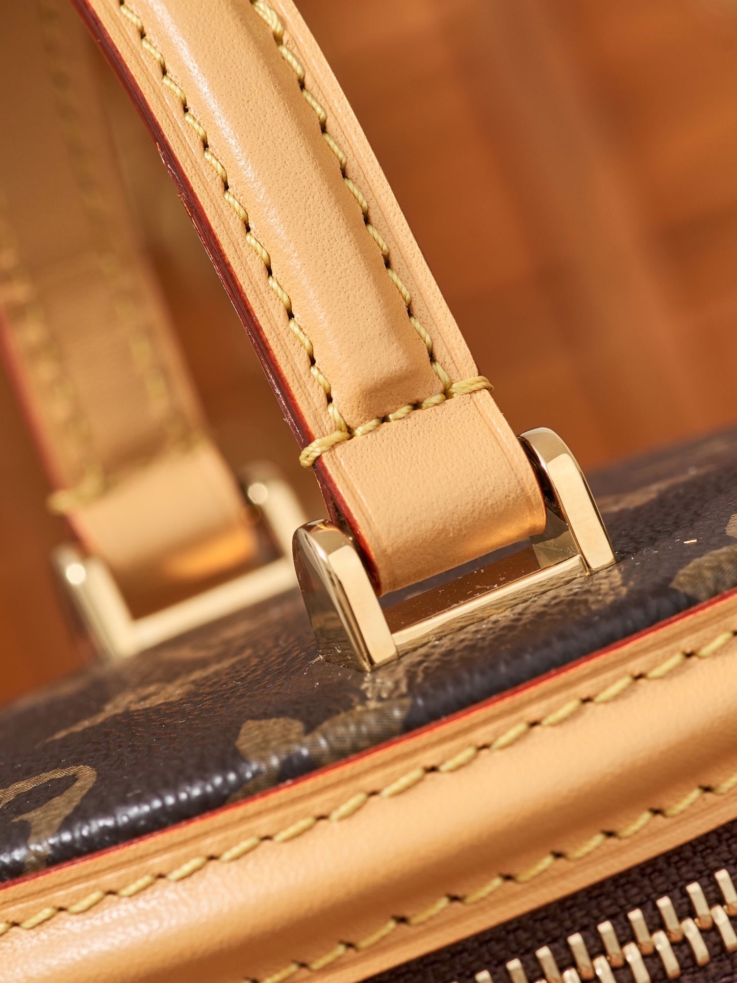 Louis Vuitton Handbag