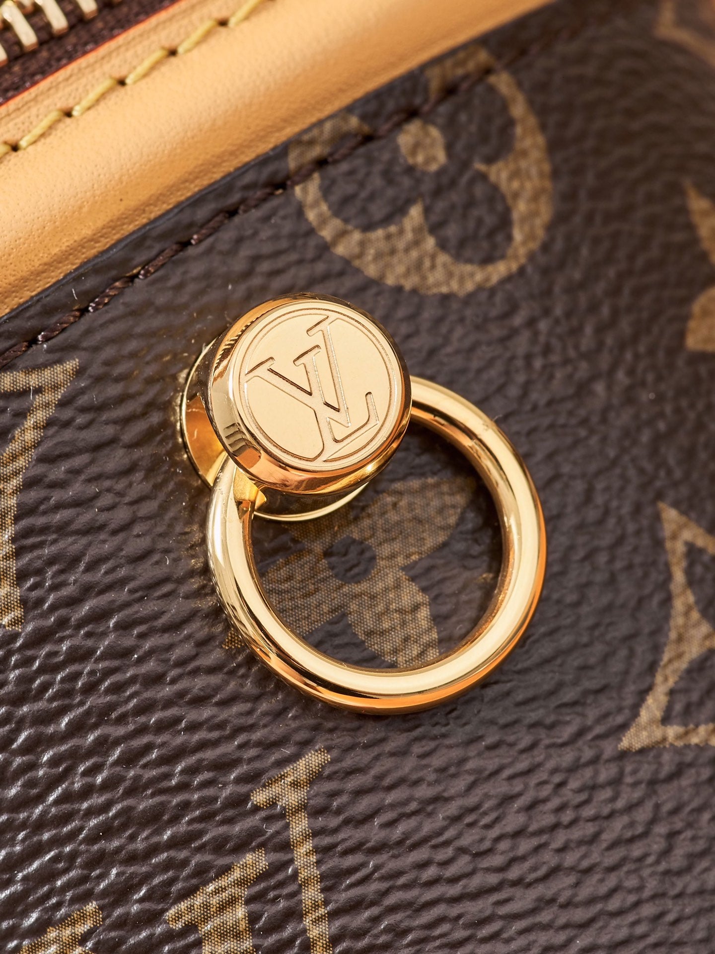 Louis Vuitton Handbag