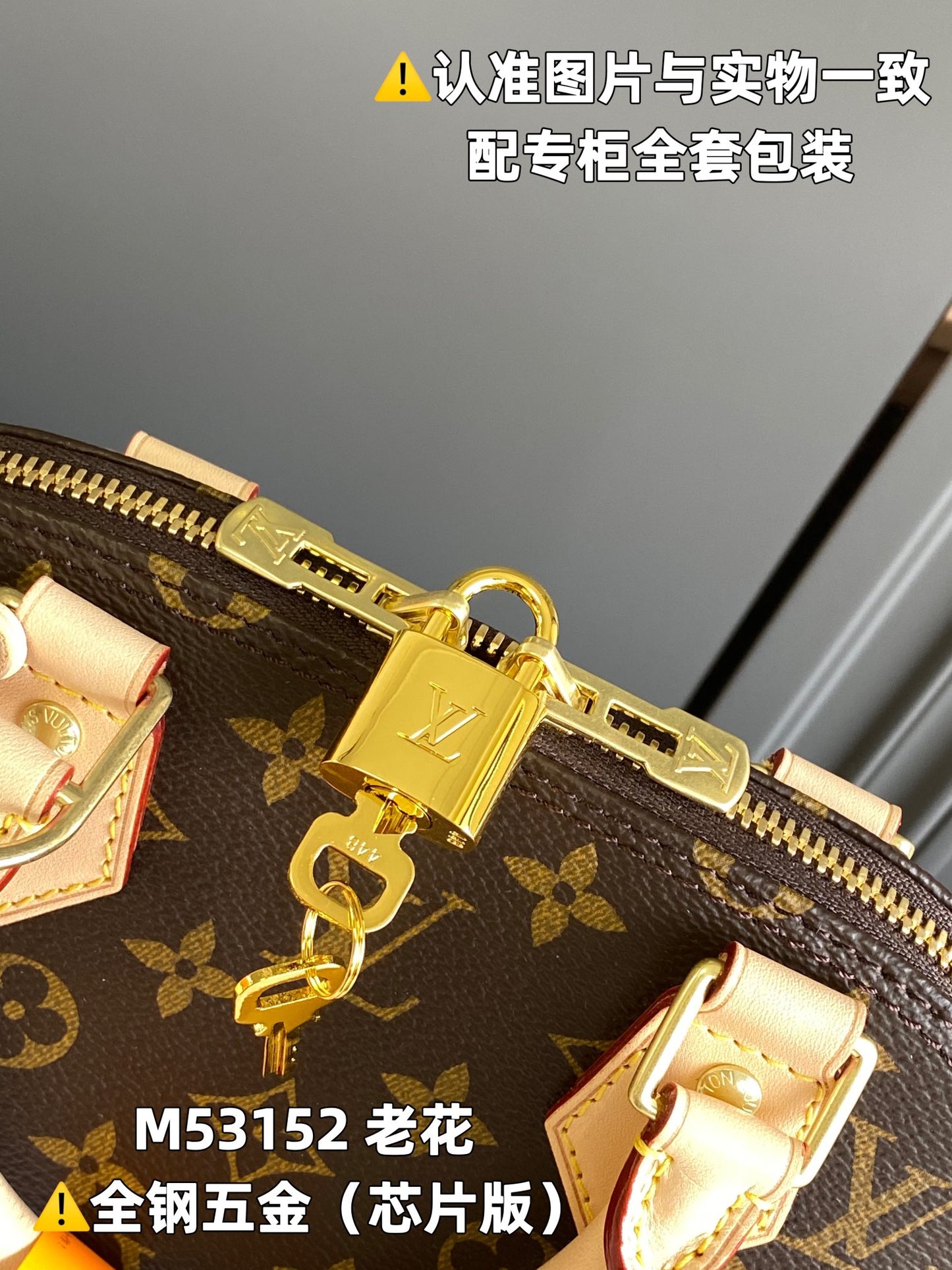 Louis Vuitton Handbag