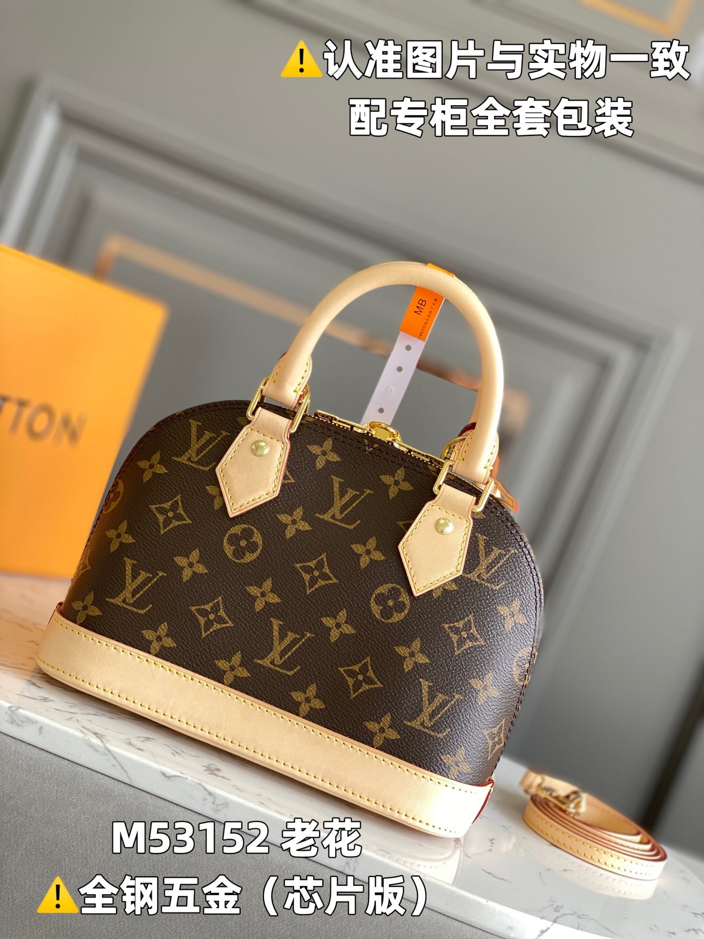 Louis Vuitton Handbag