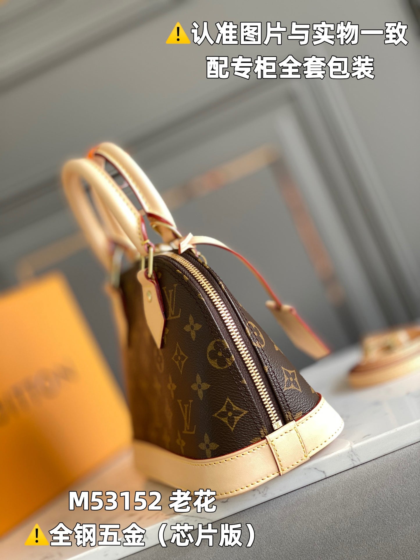 Louis Vuitton Handbag