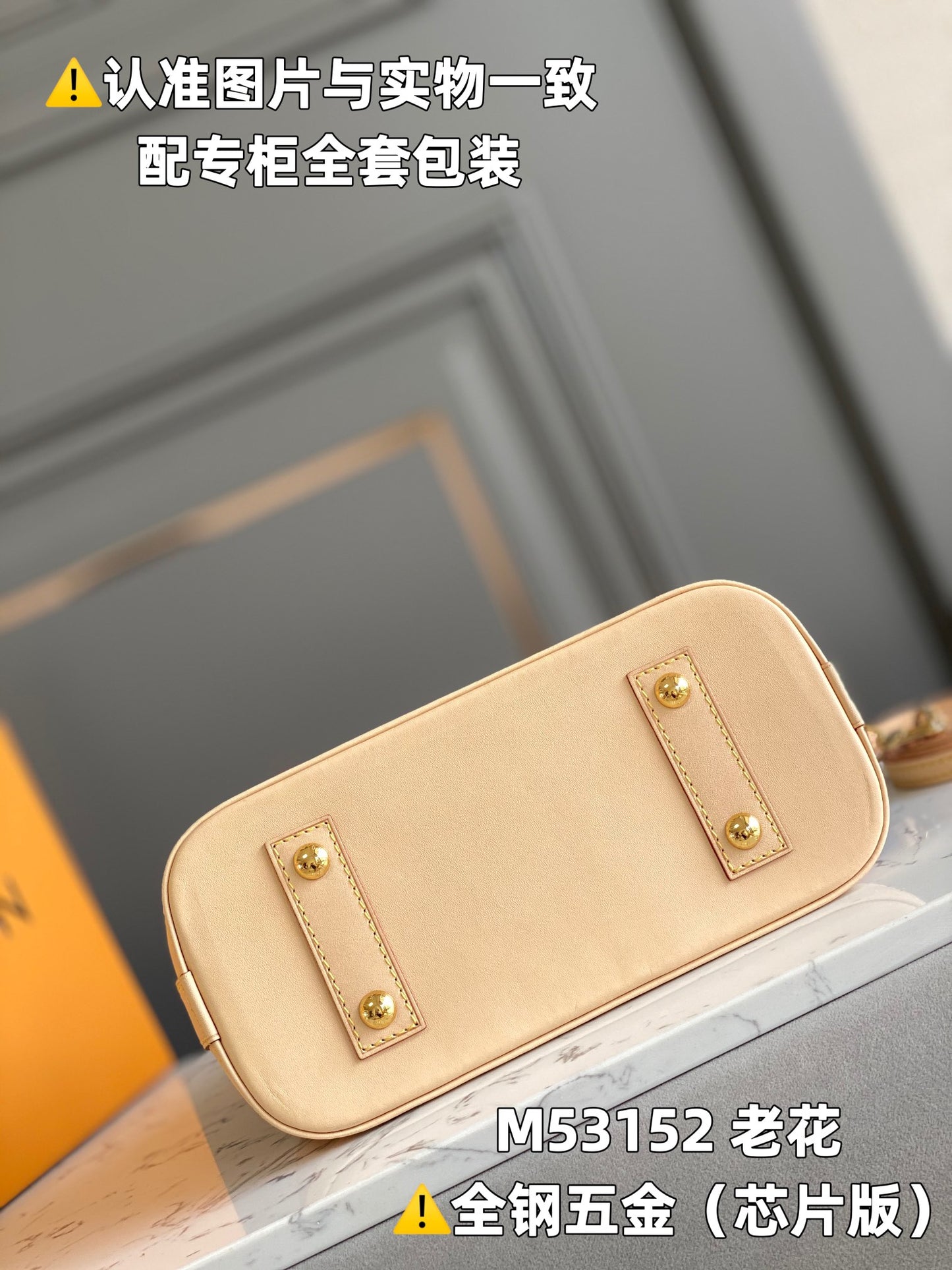 Louis Vuitton Handbag