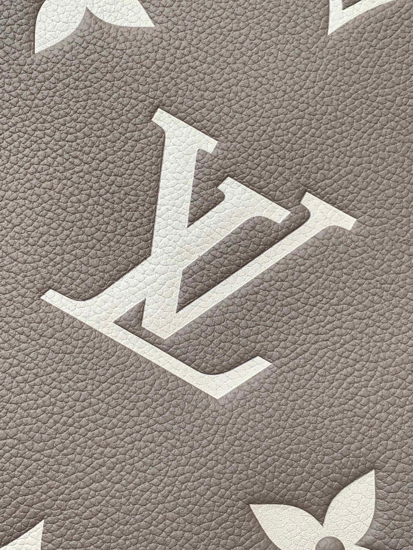 Louis Vuitton Handbag