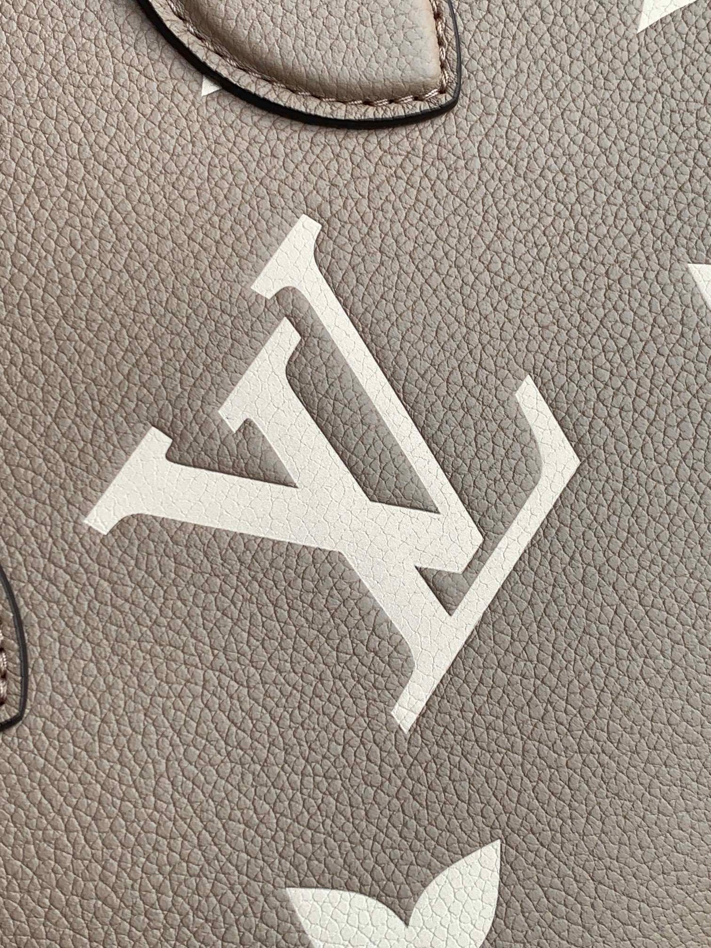 Louis Vuitton Handbag