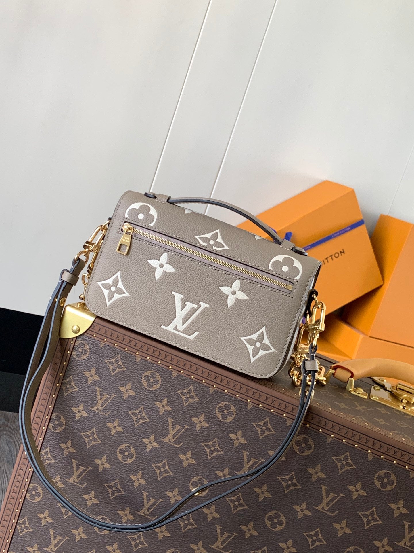 Louis Vuitton Handbag