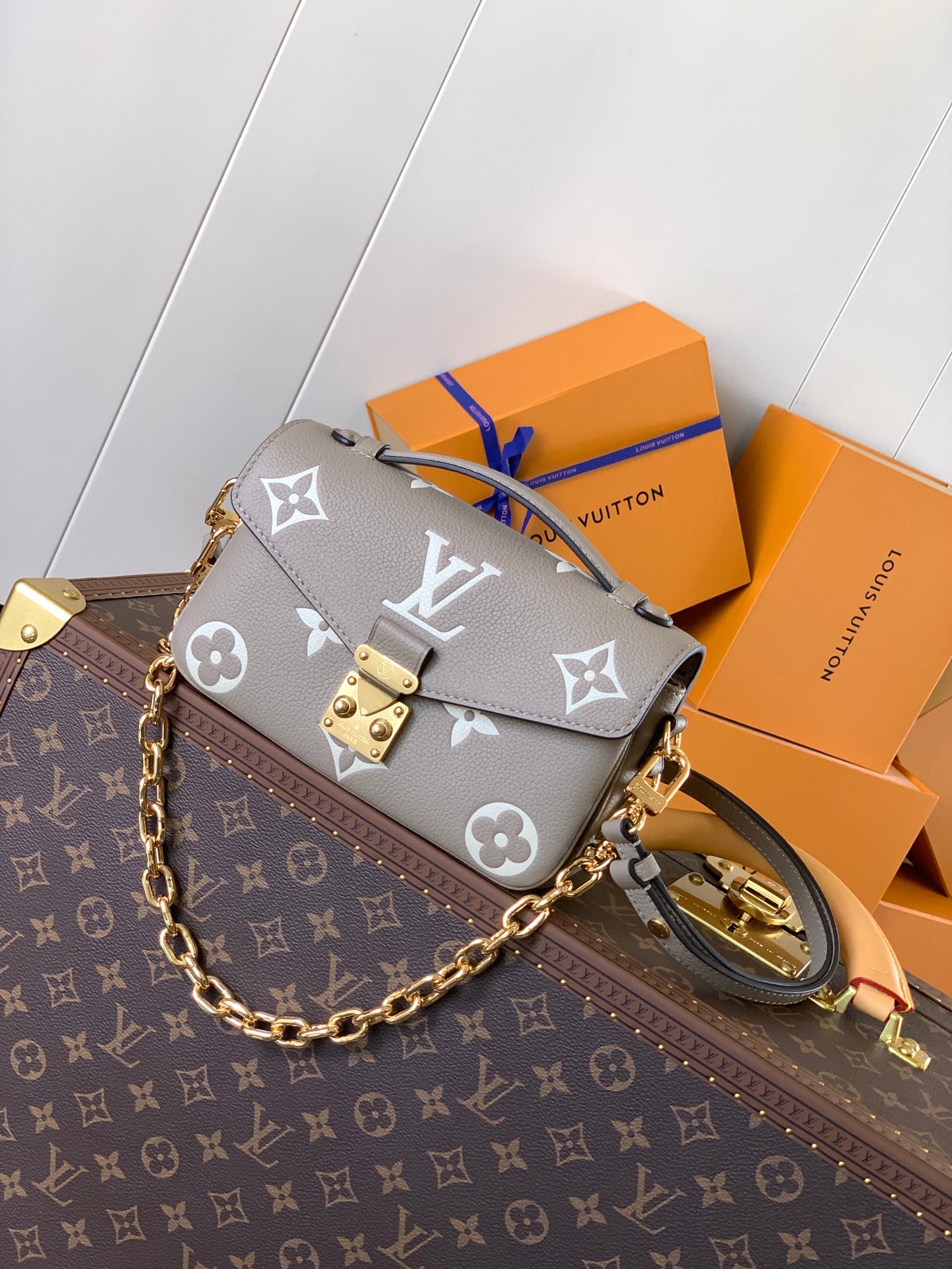 Louis Vuitton Handbag